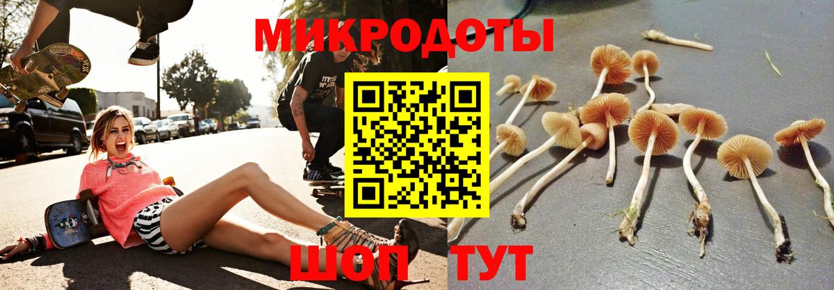 Куйбышев  Галлюциногенные грибы ЛСД  Псилоцибиновые грибы Magic Shrooms  Вход с VPN 